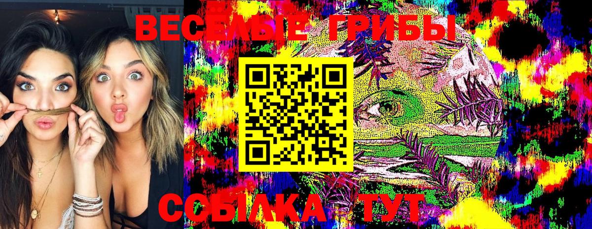 Галлюциногенные грибы ЛСД  Вход с VPN  Тында 